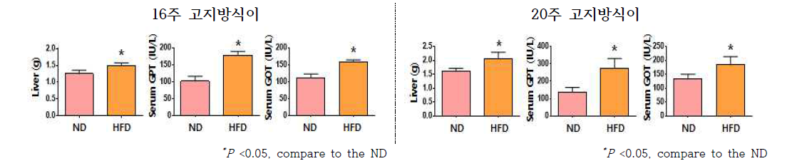 지방간 유도를 위한 고지방식이 급여 기간에 따른 간 조직 무게 및 간 지표 측정