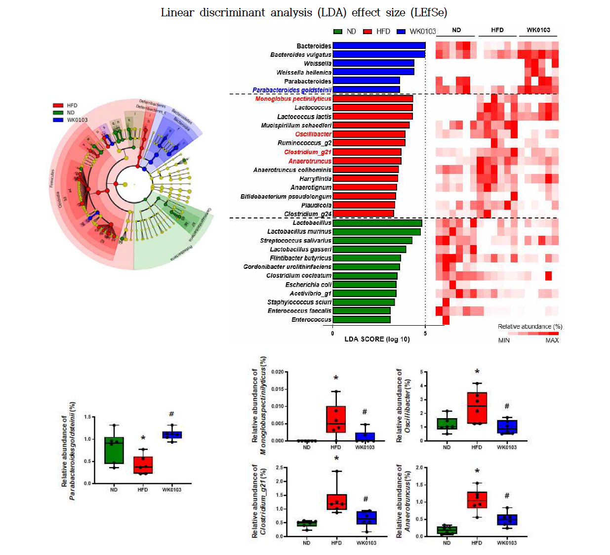 WK0103 유산균 섭취군의 LEfSe 분석을 통해 지방간 관련 장내 미생물 발굴