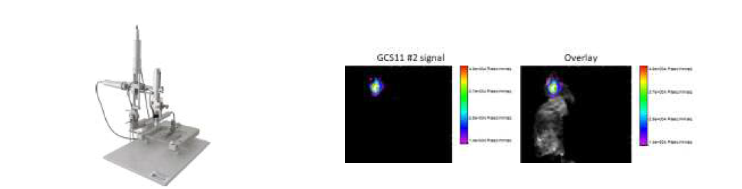 뇌종양 개선 기능성평가 시험시스템 stereotaxic(좌) 및 in vivo imaging(우)