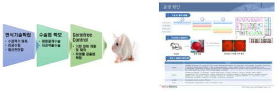 무균동물 시험시스템 운영계획 수립, 생산시스템(좌) 및 시설 운영안(우)