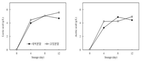 새싹 및 분말 첨가 김치의 유기산의 변화 (좌) lactic acid, (우) acetic acid