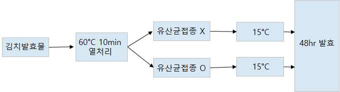 김치발효물 열처리 및 배양방법