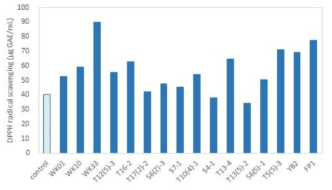 유산균 종류별 김치의 DPPH 라디칼 소거능