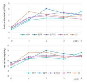 김치 5종의 발효 과정에 따른 일반세균 ,젖산균 분석 결과