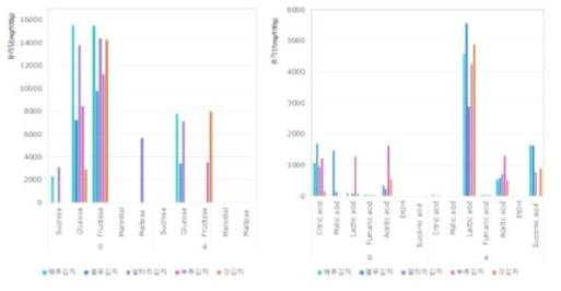 김치 5종의 발효 과정에 따른 유기산, 유리당 분석 결과