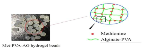 Met-PVA-AG hydrogel beads