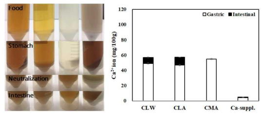 칼슘 강화 소재와 칼슘제의 각 소화분획에서의 칼슘이온함량