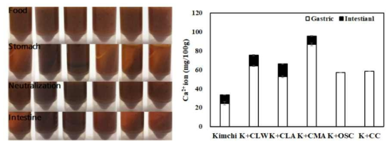 칼슘 강화 김치의 각 소화분획에서의 칼슘이온함량