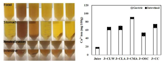 칼슘 강화 주스의 각 소화분획에서의 칼슘이온함량