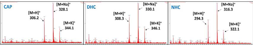 Capsaicinoids 주요 3 성분의 LC/ESI/MS spectrum