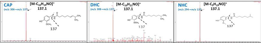 Capsaicinoids 주요 3 성분의 [M+H]+이온에 대한 CID MS spectrum (Peak Assignment)