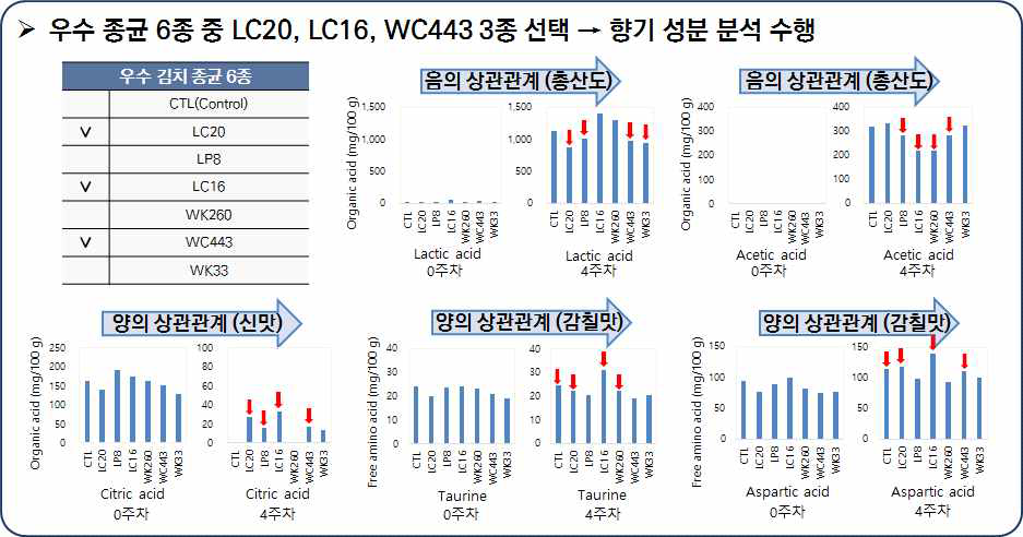 우수종균 첨가 김치의 유기산 및 유리아미노산 분석