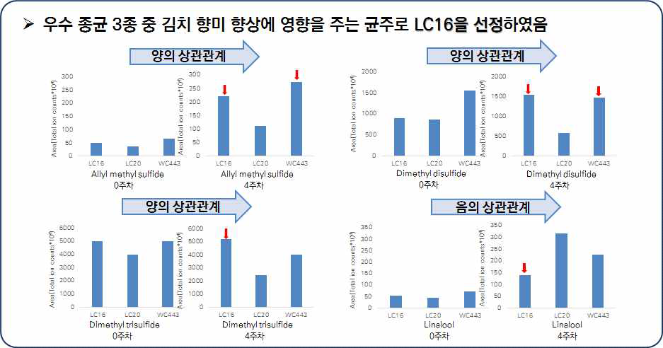 우수종균 첨가 김치의 향기성분 분석