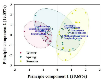 수확 시기별 배추의 글루코시놀레이트 함량에기반한 주성분 점수 및 적재 산점도
