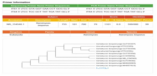 곰팡이의 ITS 분석 결과