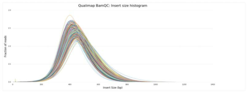 Insert size graph for Batch 4 data