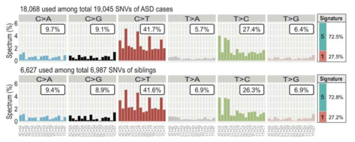 Mutation signature analysis results for de novo SNVs from ASD samples and sibling samples