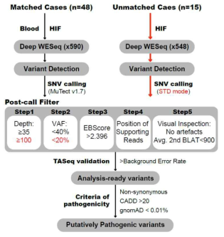 Schematic diagram of low-frequency somatic variant calling pipeline