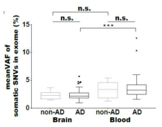 Comparison of mean VAF of somatic SNVs in brain and blood samples from Alzheimer patients and normal person