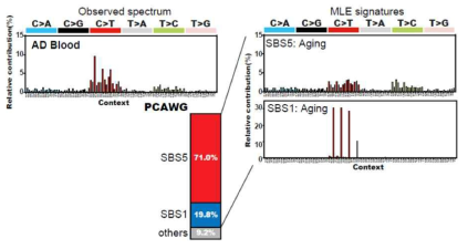 Mutational signature analysis results for somatic variants identified from blood samples