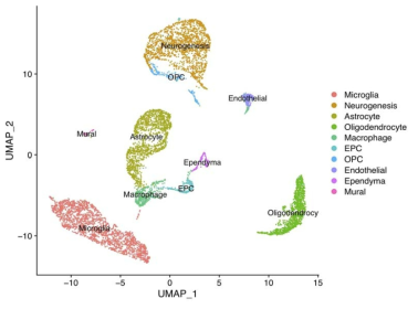 Brain single cell clustering assay for mental illness mouse models