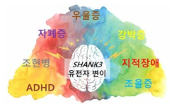 Association of SHANK3 gene mutations with various neuropsychiatric diseases