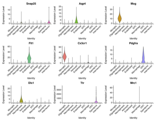 Expression pattern analysis of marker genes by cell type