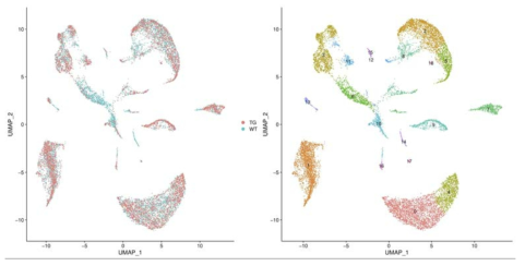 Integrated Analysis of Structural Normal and Mutant Cells