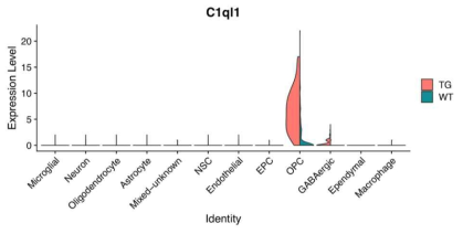 OPC cell-specifically expressed C1ql1 gene