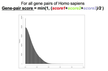 Scoring function for calculating gene-gene similarity and its distribution for all gene pairs