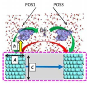 Schematic diagram of DNA sequencing sensor