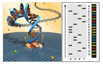 DNA analysis sensor