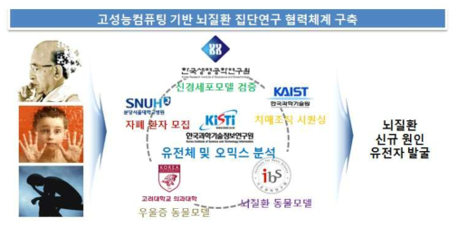 Group cooperation strategy for brain disease