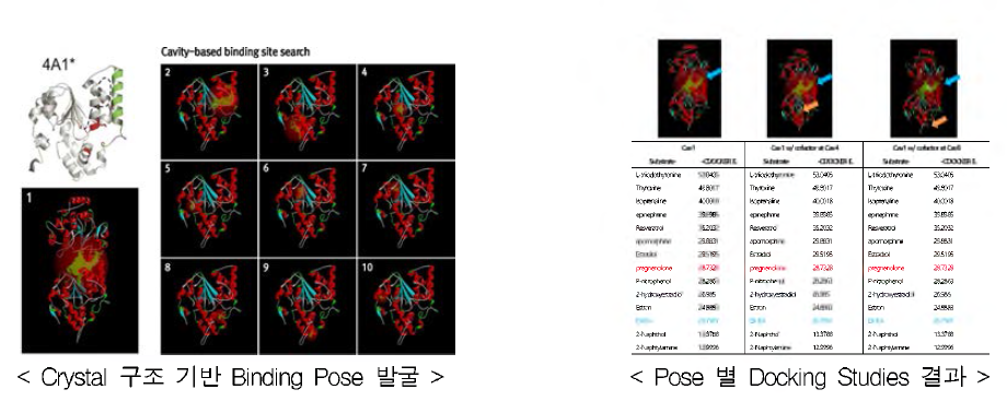 Human Cytosolic Sulfotransforase 메커니즘 규명을 위한 계산 결과