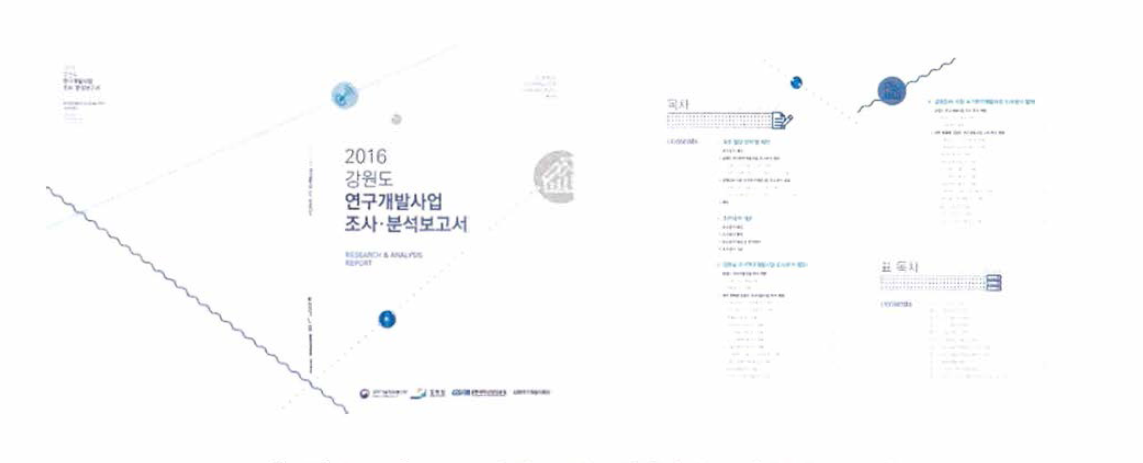 2016 강원도 연구개발사업 조사·분석 보고서