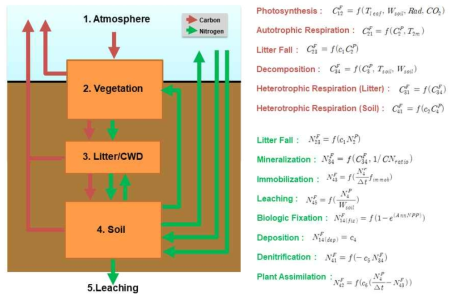 CLM4의 탄소-질소 순환의 모식도 및 플럭스 흐름도