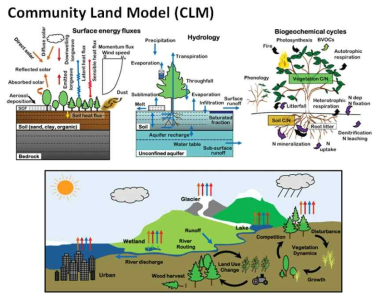 CLM4-DGVM의 에너지, 수문, 생지구화학 과정