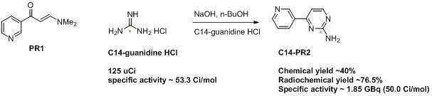 [14C]Guanidine 이용한 14C-PR2 표지