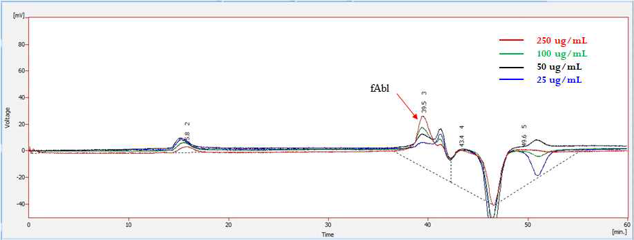 농도별 비활성 fAbl의 GPC 크로마토그램