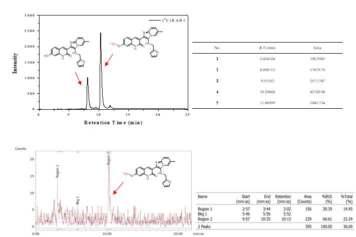 RAD1의 14C-표지반응의 HPLC 크로마토그램. (위)UV 검출기; (아래)β-ram 검출기