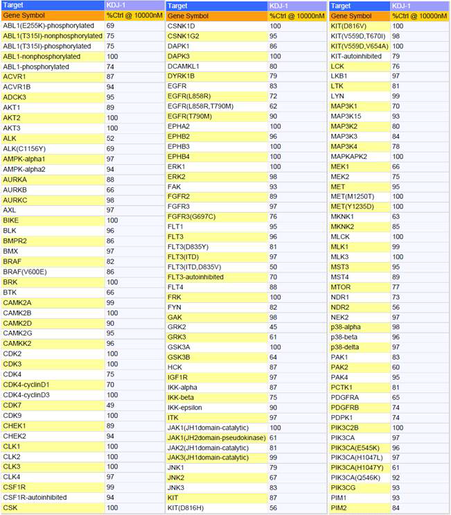 RAD1의 kinase panel assay.(Gene symbol: 시험에 사용된 kinase 단백질, %Ctrl@10000nM: 10 μM에서 해당 kinase 저해활성)