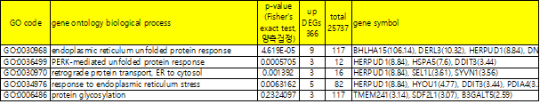 Hsp47 과발현 RNAseq 데이터에서 증가한 유전자에 대한 GOBPEA 결과