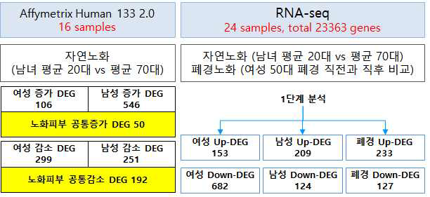 2세부 자연 노화 폐경 노화 임상 전사체 프로파일 요약