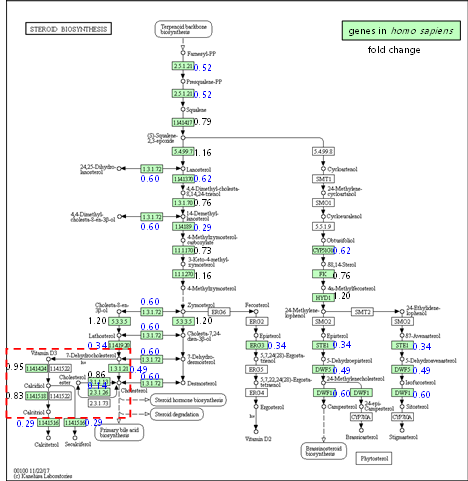 폐경 노화에서 steroid biosynthesis 관련 유전자