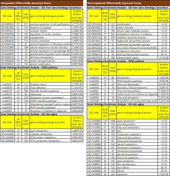 피부 노화 마이크로어레이 데이터에서 적어도 한쪽 성별에서 발현이 증가 또는 감소한 유전자에 대하여 Gene Ontology Consortium, KEGG 경로, 피부 노화 관련 온톨로지의 유전자 기능정보를 반영하여 GOBPEA를 수행한 결과