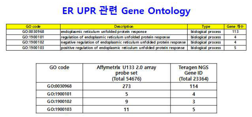 ER UPR 관련 ontology term 및 각 GO에 포함된 유전자 수