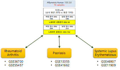 피부 노화 및 류마티스성 관절염, 건선, 전신홍반성 루푸스의 공통 DEG 탐색 모식도