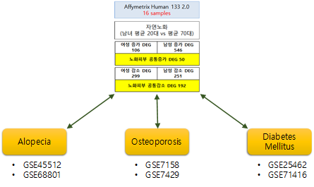 피부 노화 및 탈모, 골다공증, 당뇨병의 공통 DEG 탐색 모식도