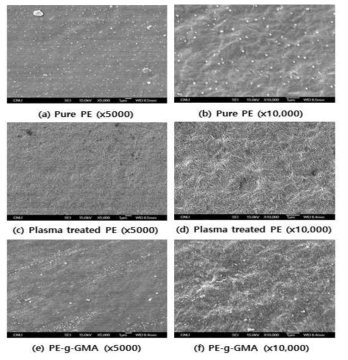 SEM analysis of Polyethylene surface