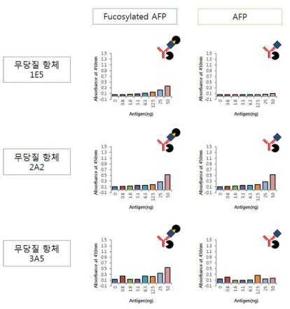 무당질항체를 이용한 fucosylated AFP 활성 검증